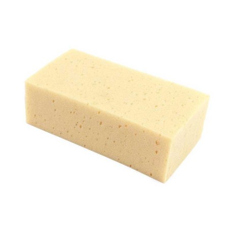 Éponge